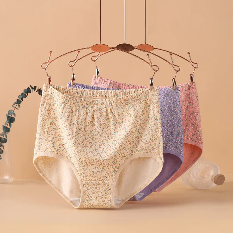 INTIMO SECRETS High Waist Cotton Panties – Plus Size Women’s Lingerie