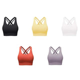 INTIMO SECRETS Women’s Seamless Sports Bra – Fixed Cup, Sweat-Absorbing Workout Top