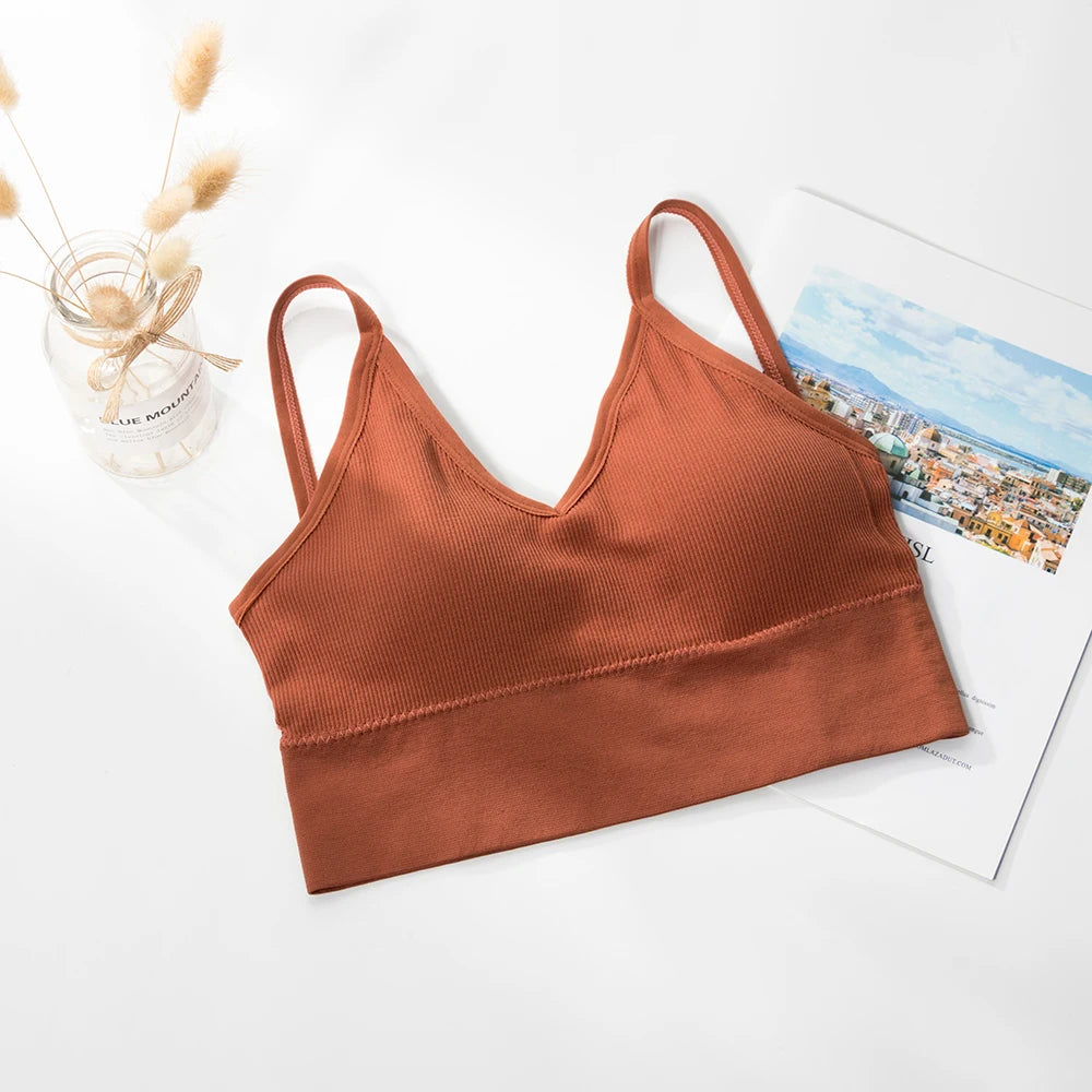 INTIMO SECRETS Women’s 2-Pack Padded Crop Top Bra – Wire-Free Summer Active Vest