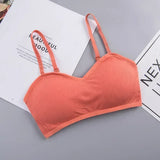 INTIMO SECRETS Women’s Wireless Solid Bralette – Ribbed Crop Top, Push-Up, No Wire