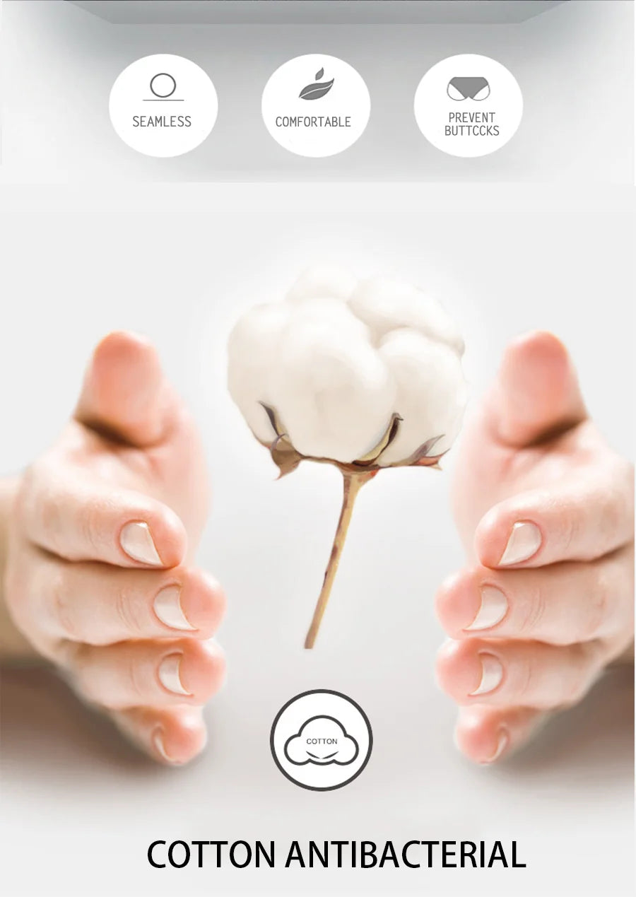 INTIMO SECRETS 3PCS Cotton Lace Panties – Plus Size Women’s Mid-Waist Lingerie