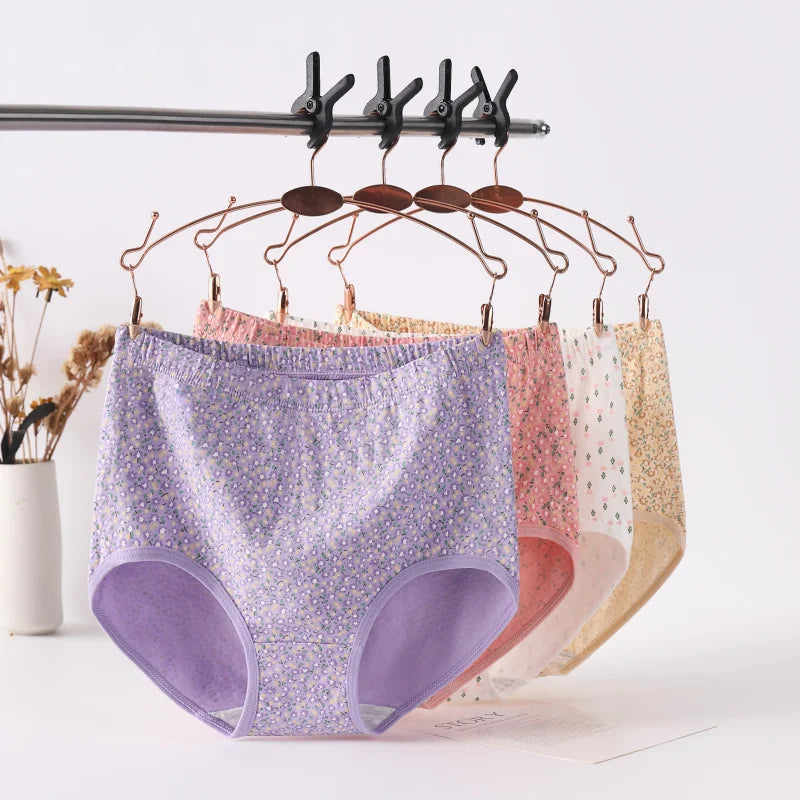 INTIMO SECRETS High Waist Cotton Panties – Plus Size Women’s Lingerie