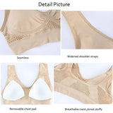 INTIMO SECRETS Seamless Push-Up Mesh Bra – Breathable Sports Bralette