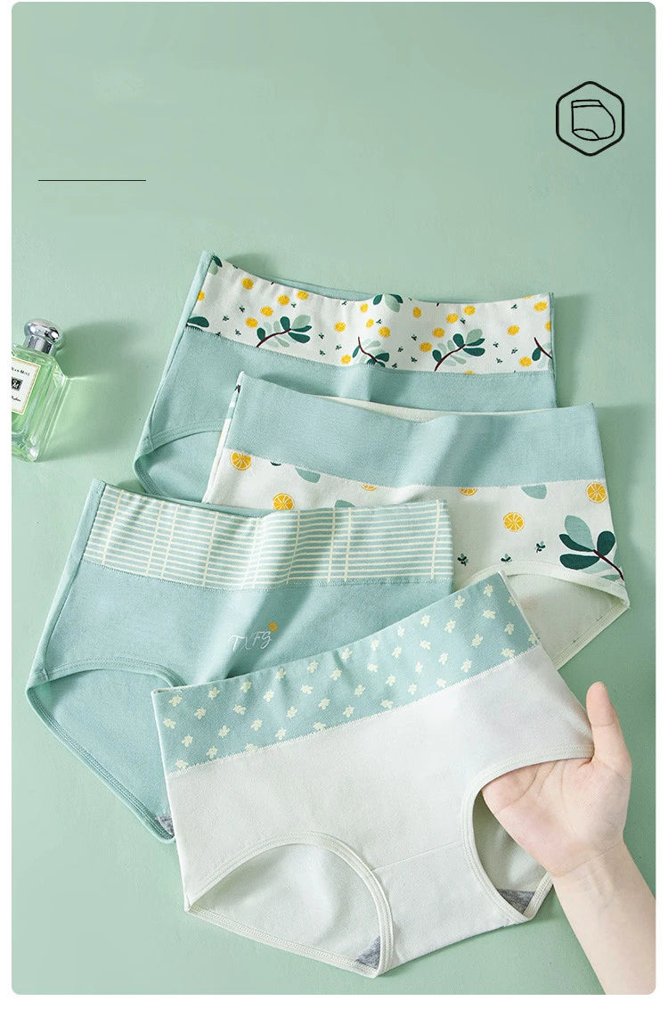INTIMO SECRETS 4PCS High Waist Cotton Panties – Plus Size Women’s Lingerie