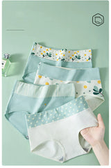 INTIMO SECRETS 4PCS High Waist Cotton Panties – Plus Size Women’s Lingerie